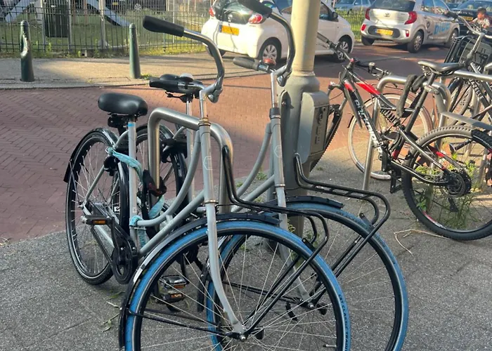 شقة Cosy With Private Bathroom And 2 Bikes